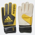 adidas Performance Bp Clas Trefoil