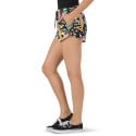 Vans Janek Short