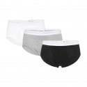 Calvin Klein Basic Brief Multi-Pack