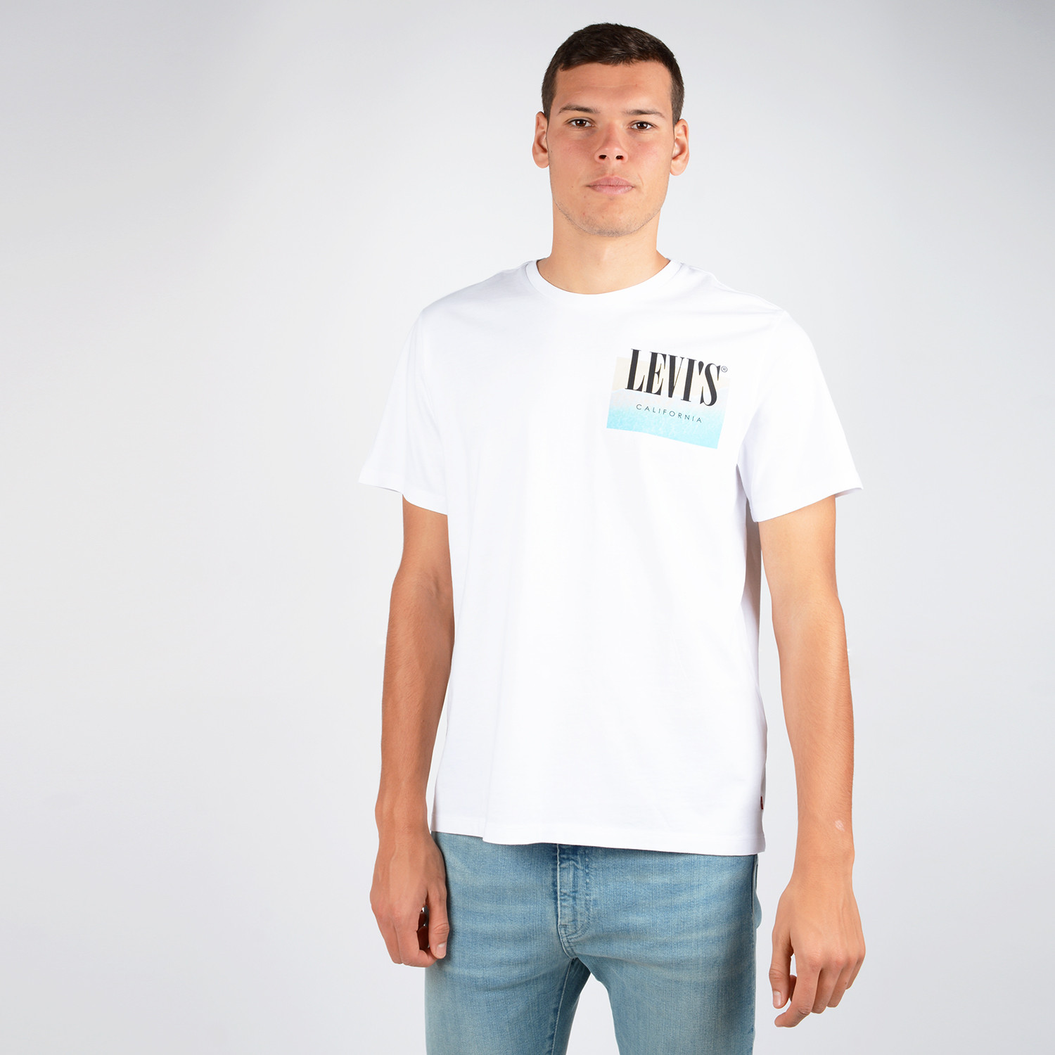 Levi's Graphic Setin Ανδρικό T-shirt (9000048398_26106)