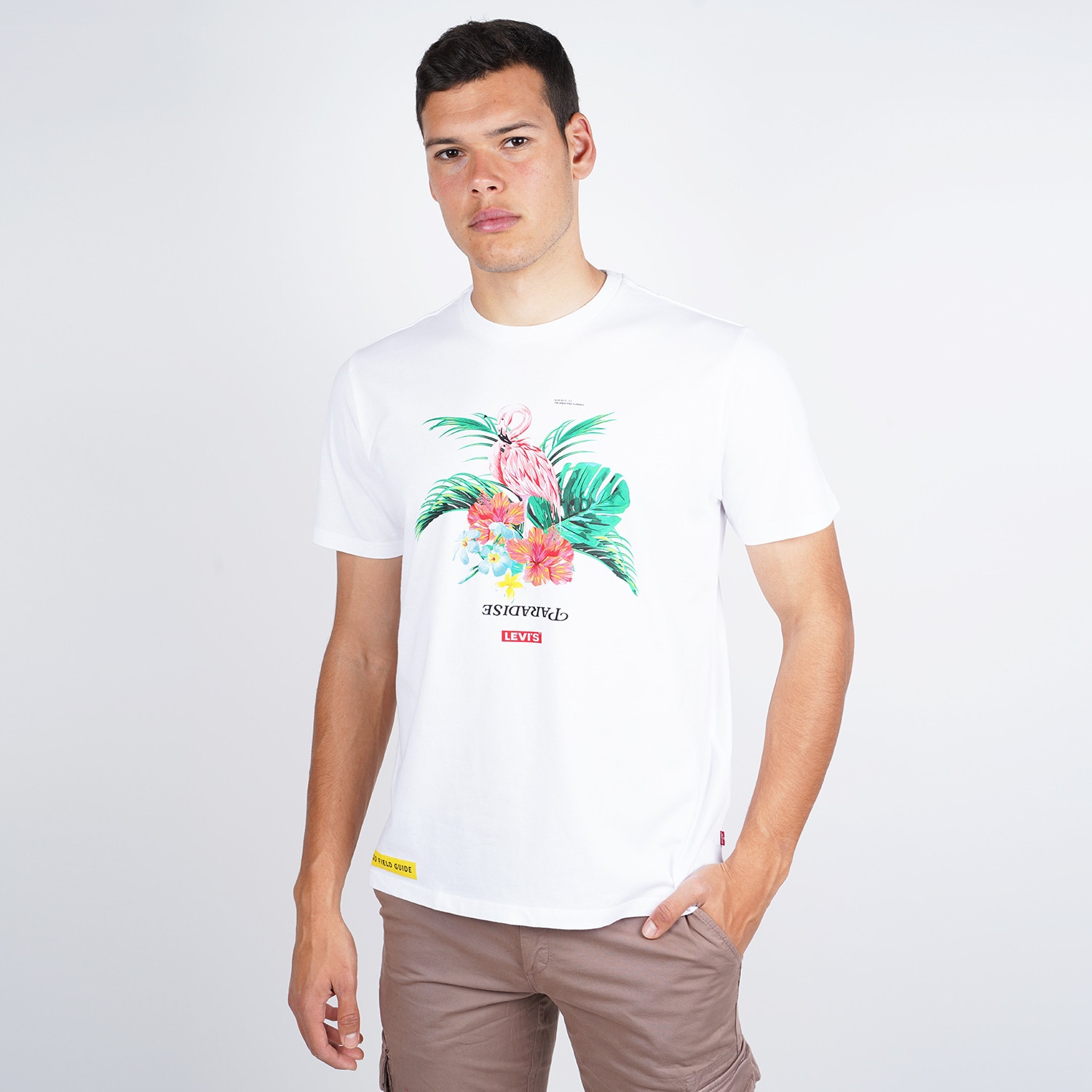 Levi’s Graphic Crewneck Men’s Tee