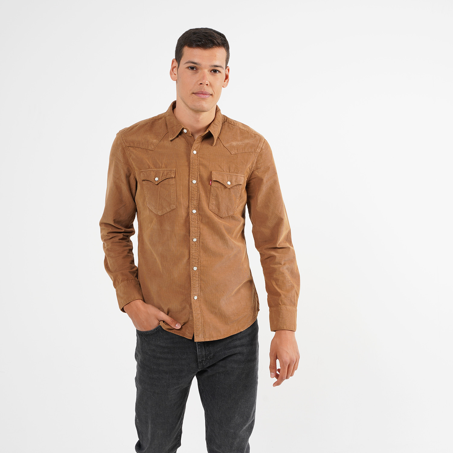 Levis Barstow Western Slim Garment Aνδρικό Πουκάμισο (9000054232_26106)