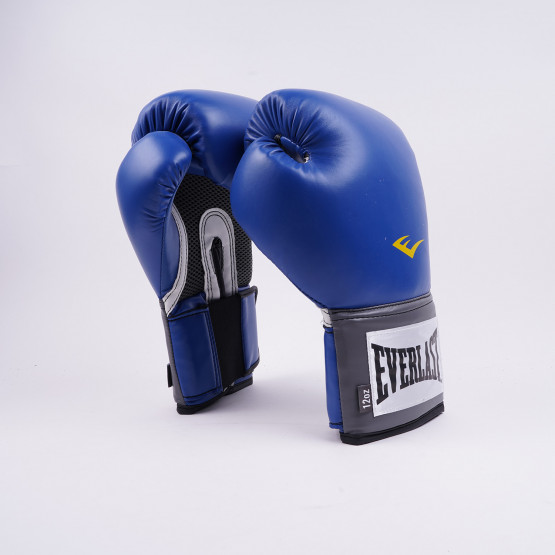 Everlast Boxing punching Bag