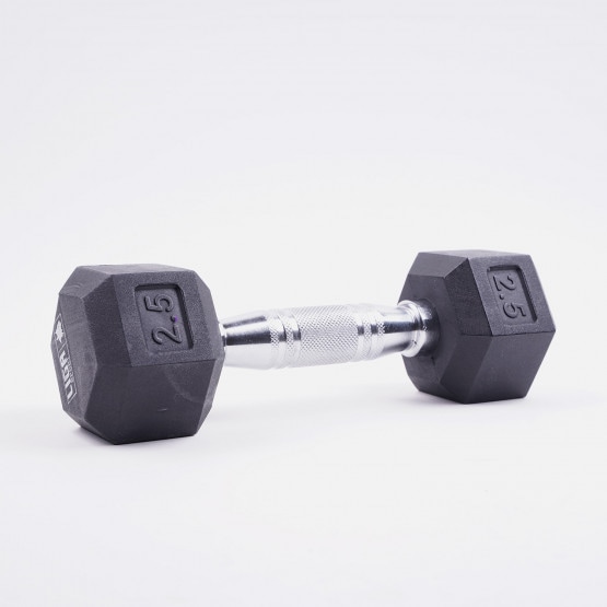 ZEUS Dumbbell Weight 2.5kg