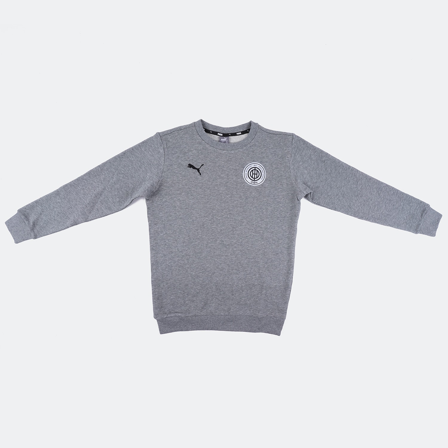 33 (OFI NL) - Чоловічий флісовий костюм puma - Puma x OFI Crete F.C.  Teamgoal 23 Kids' Sweatshirt Grey 656934