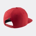 Jordan Pro Jumpman Classics Cap