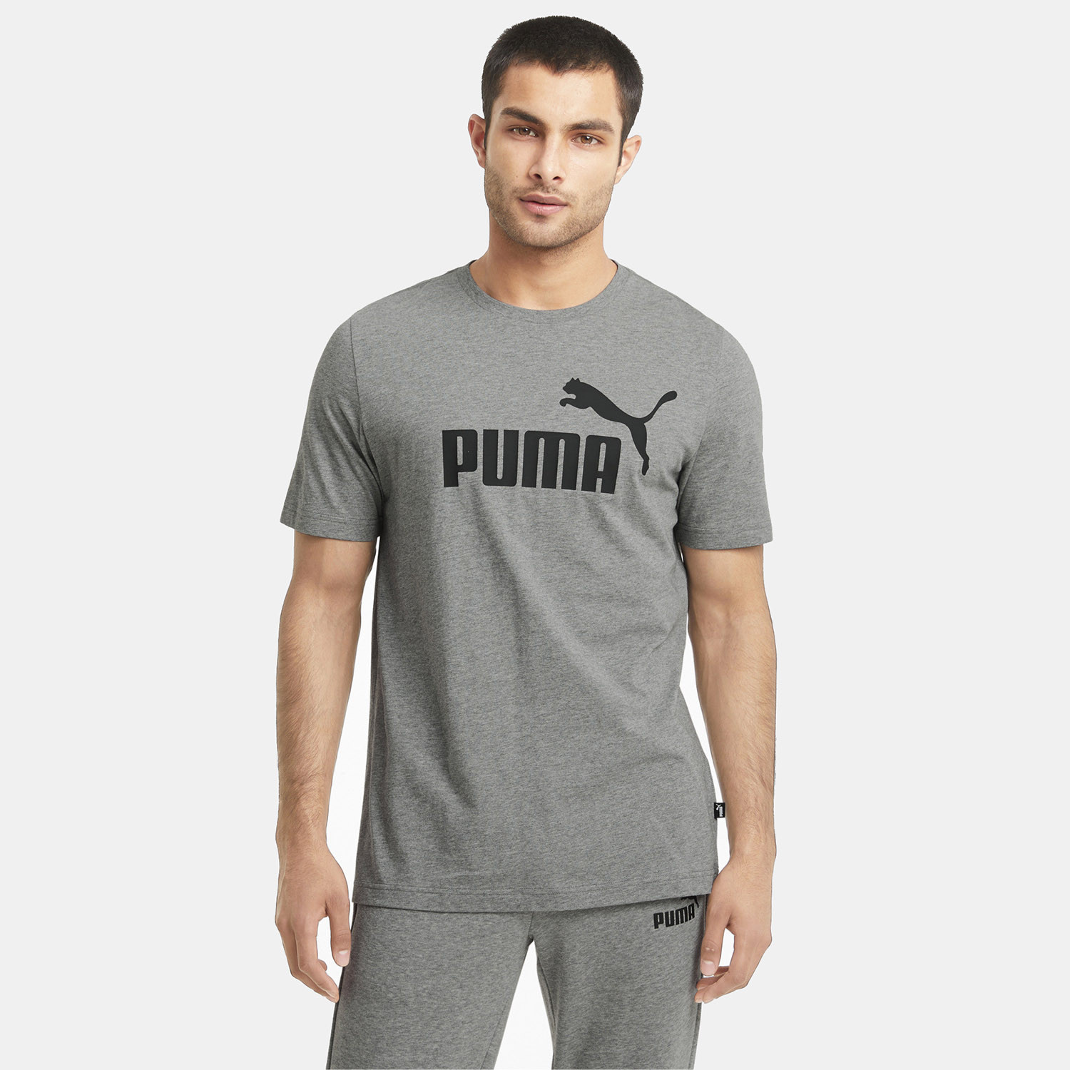 Puma Essentials Logo Ανδρικό T-Shirt (9000072525_2747)