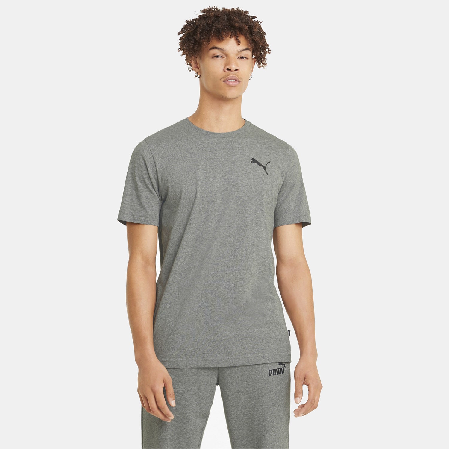 Puma Essentials Small Logo Ανδρικό T-Shirt (9000072531_51397)