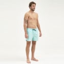 Emerson Men's Volley 17 " Men's Swimshorts