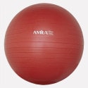 Amila Exercise Ball 65 cm