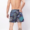 Brotherhood With Pattern Men's Swimsuit Shorts