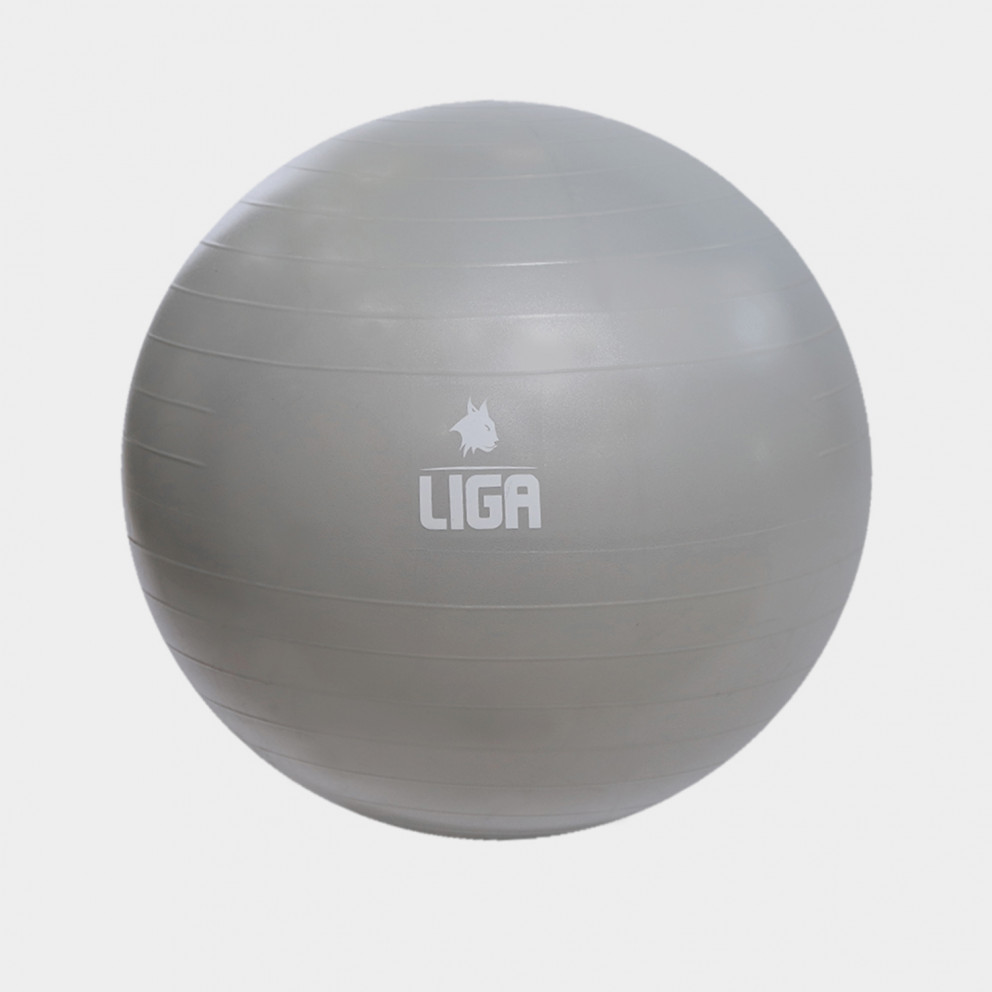 LIGASPORT Exercise Ball 55Cm