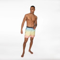 Protest Quintin Men's Beach Shorts