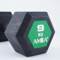 Amila Hexagonal Weight 9Kg