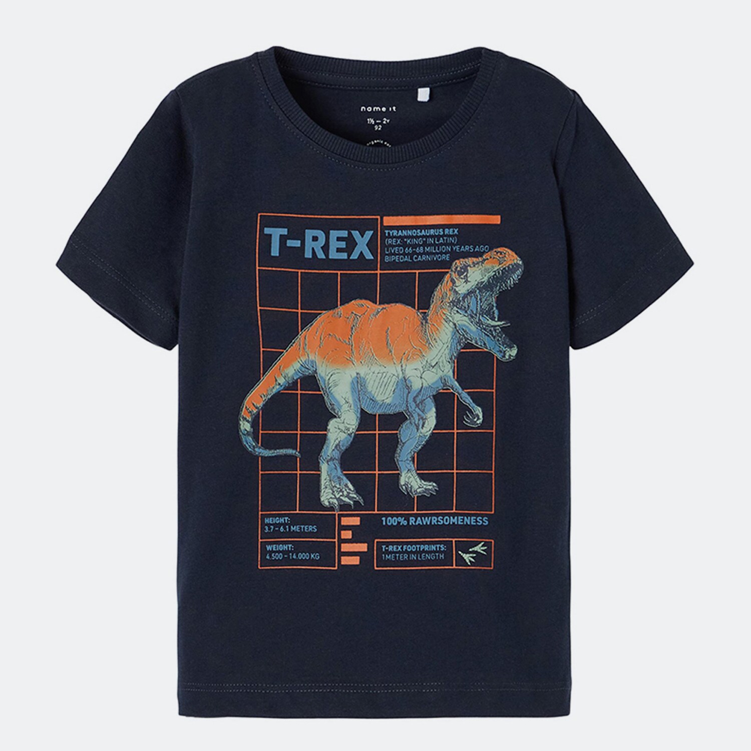 Name it Παιδικό T-Shirt (9000101054_1720)