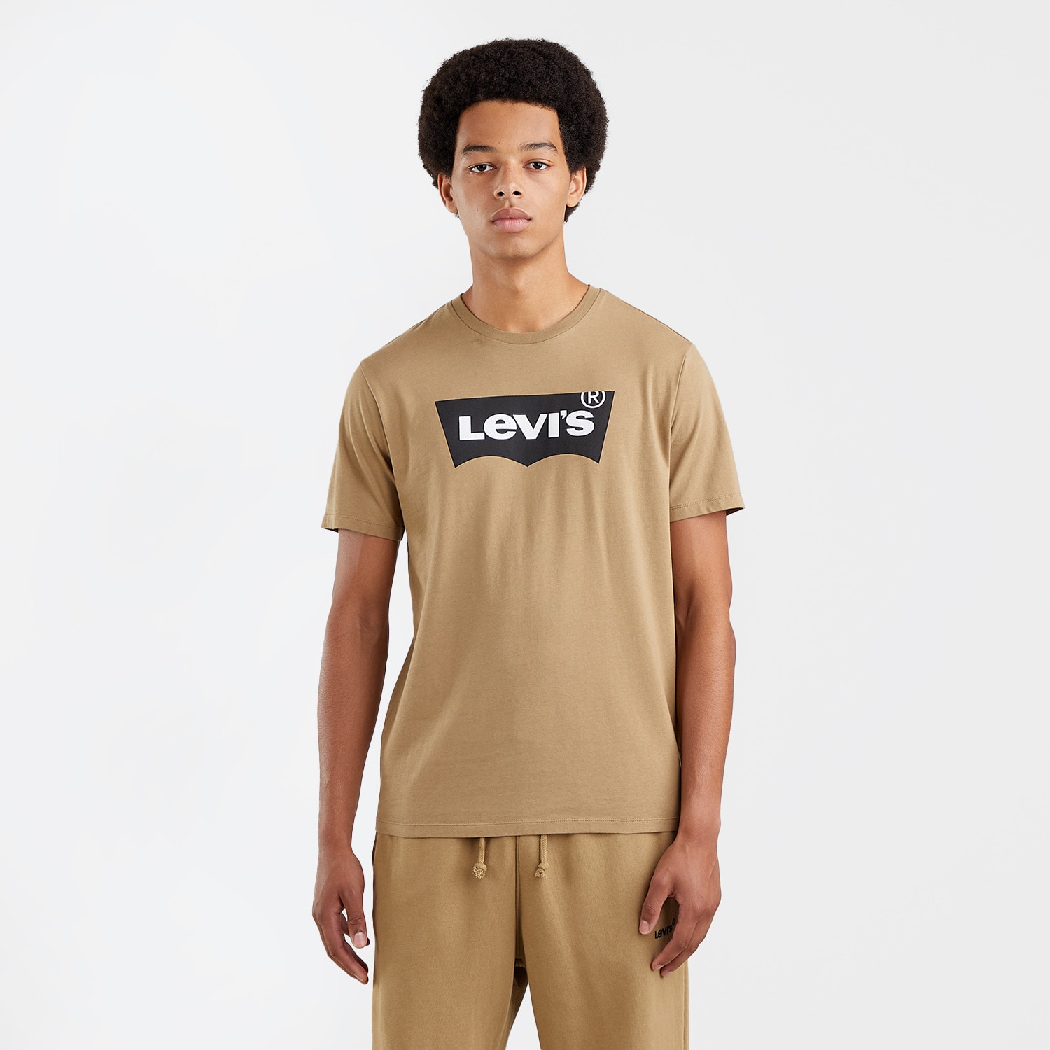 Levis Graphic Crewneck Ανδρικό T-shirt (9000101359_26106)