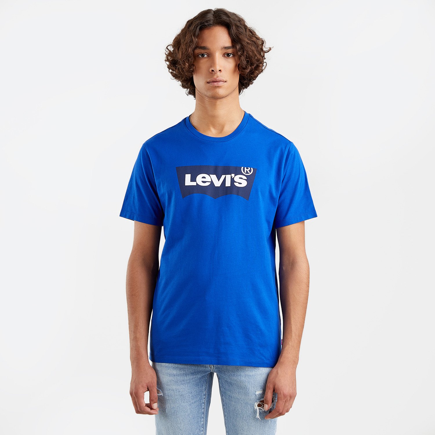 Levis Graphic Crewneck Ανδρικό T-shirt (9000101360_26098) 900010136026098