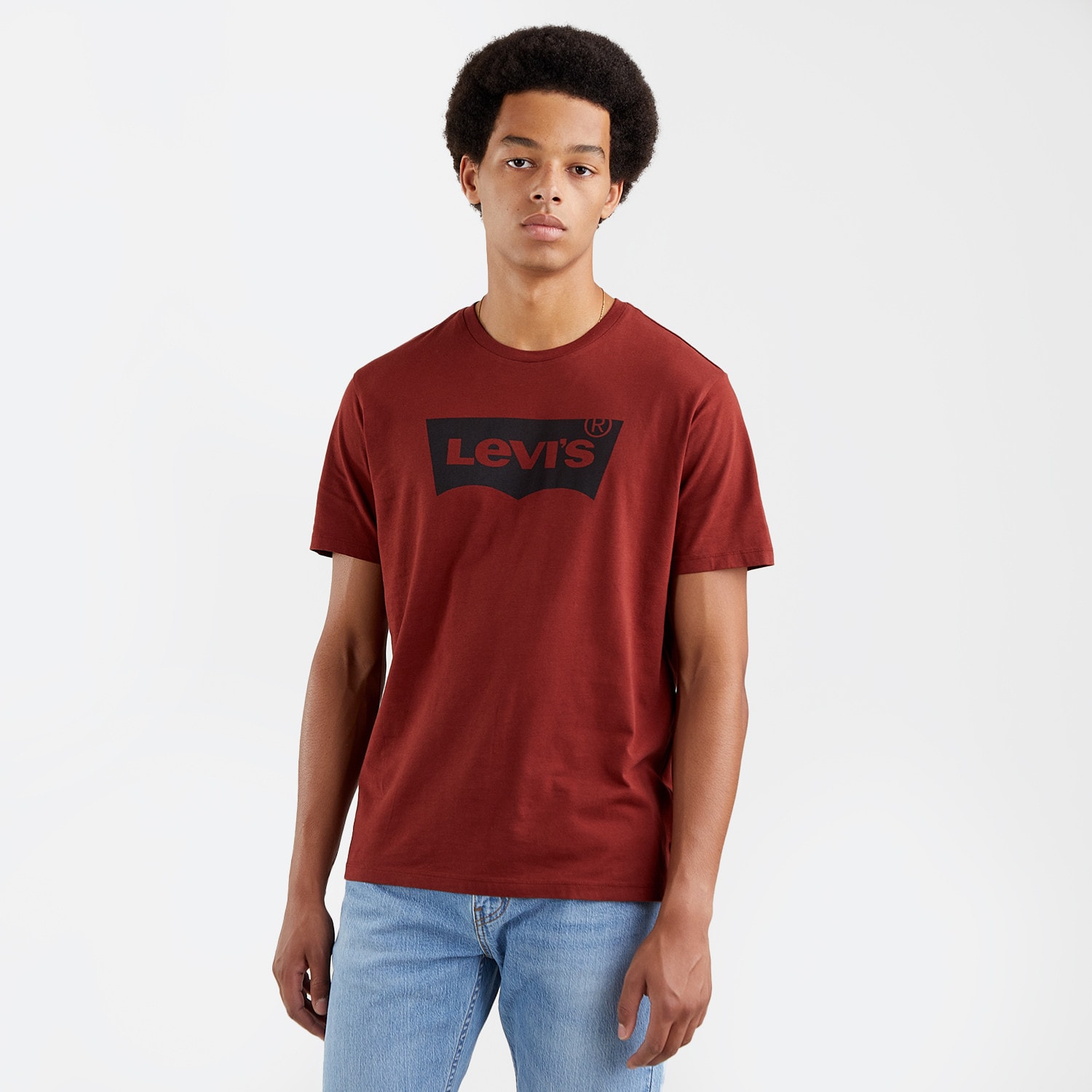 Levis Graphic Crewneck Ανδρικό T-shirt (9000101388_26097)