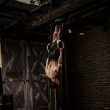 Tunturi Gymnastics Rings