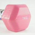Amila Laminated Weights 7Kg