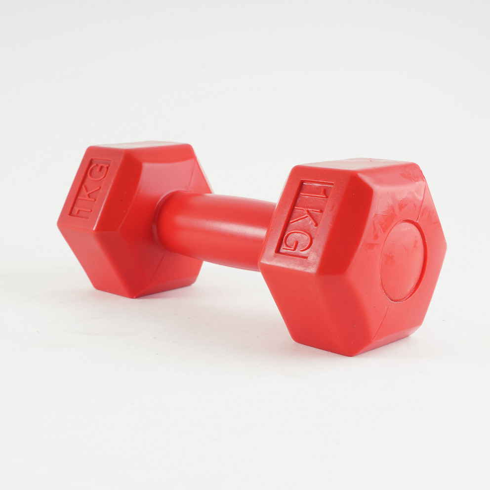 Amila Plastic Weights 1Kg 2 Pieces