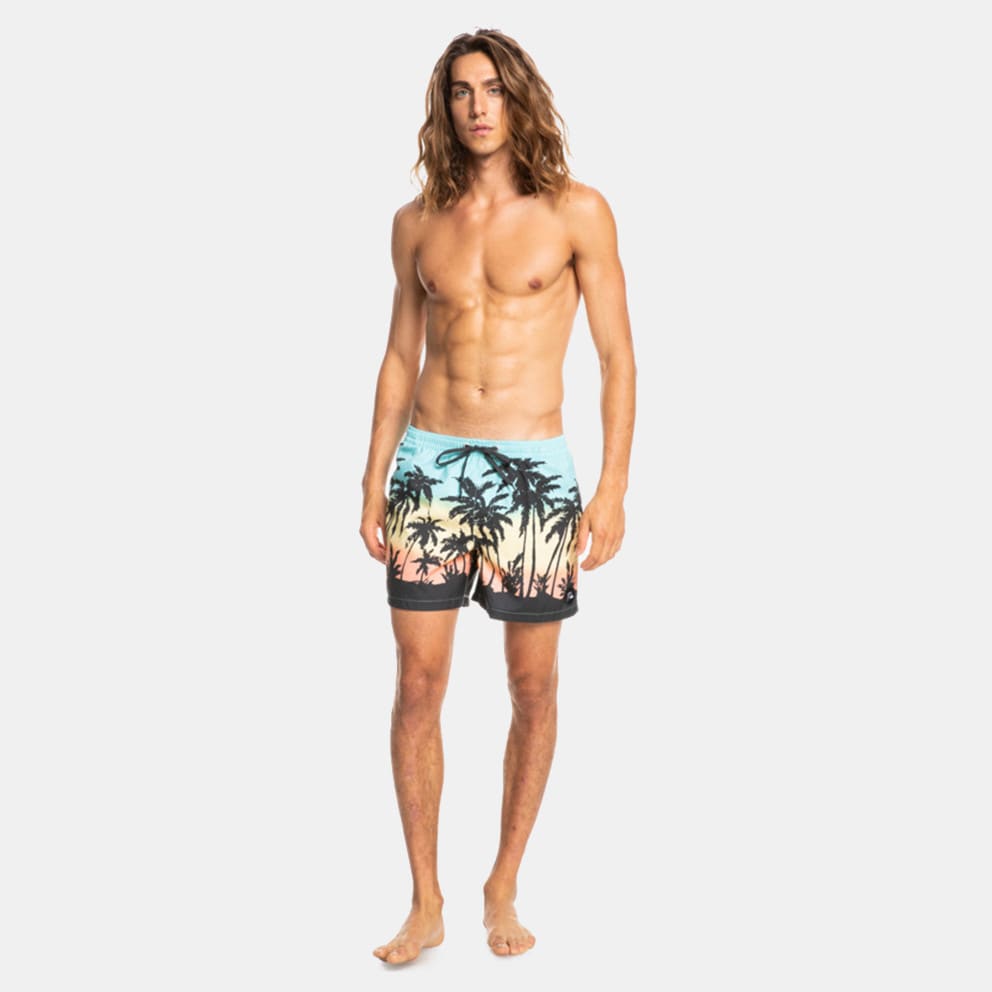 Quiksilver Everyday Paradise Volley 15 Men's Swim Shorts