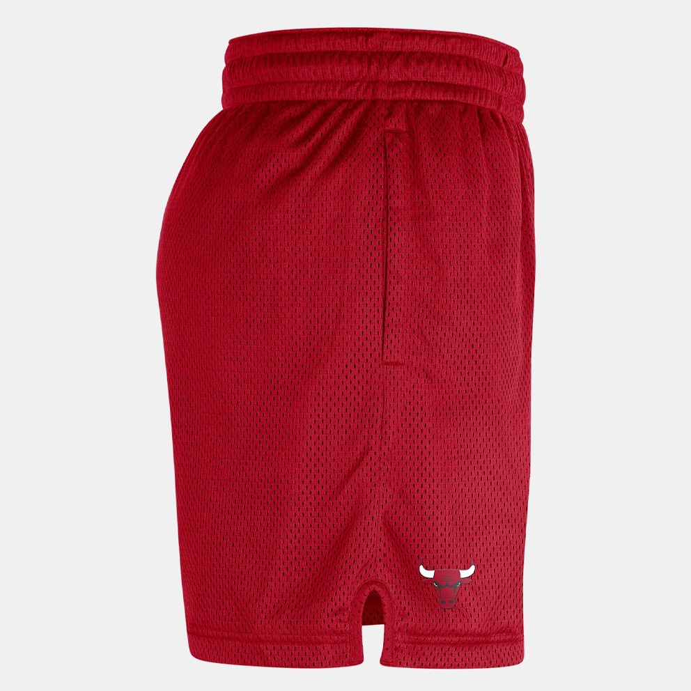 Nike Chicago Bulls Player Men's Basketball Shorts Red DN8228 - 657