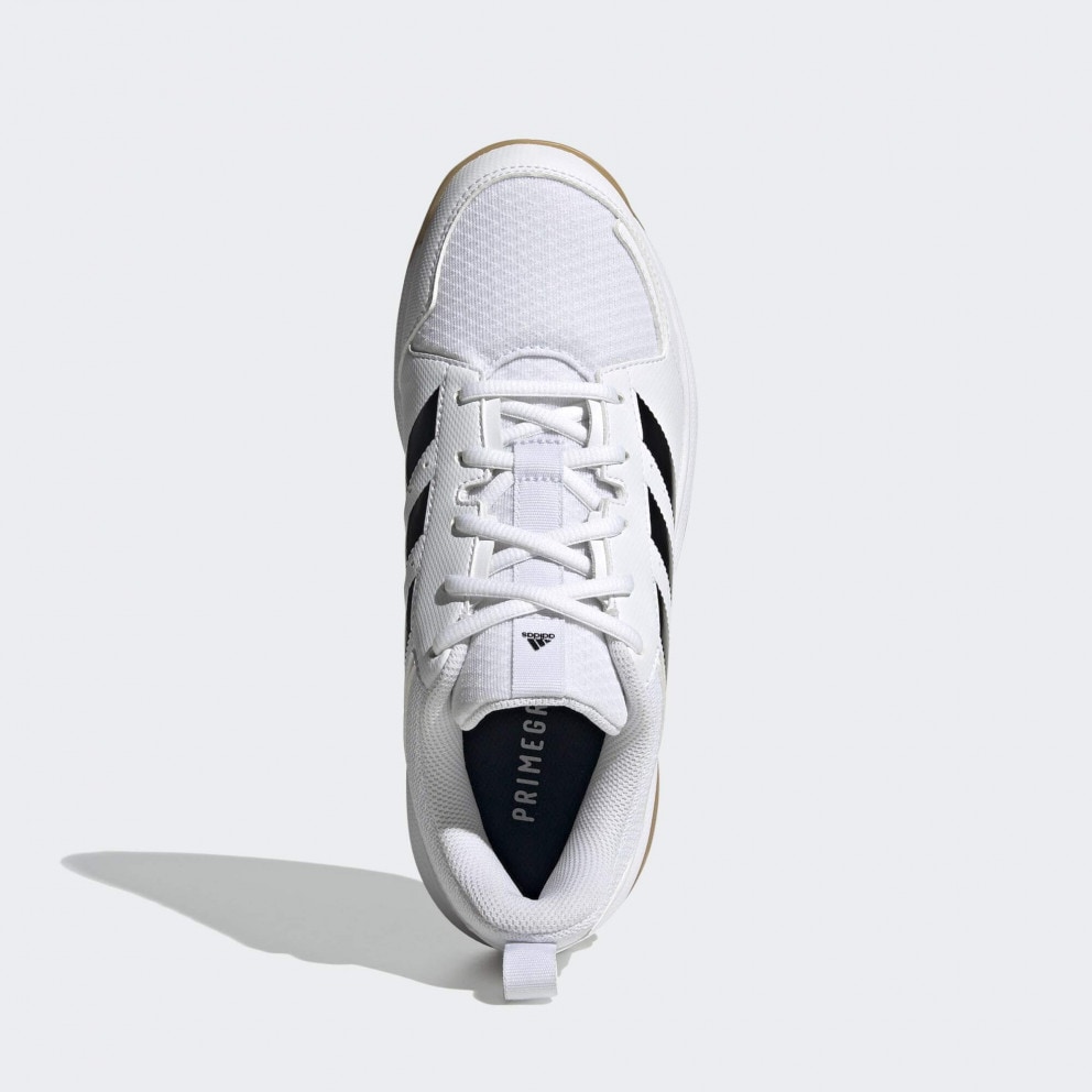 adidas Ligra 7 Indoor Women's Volleyball Shoes