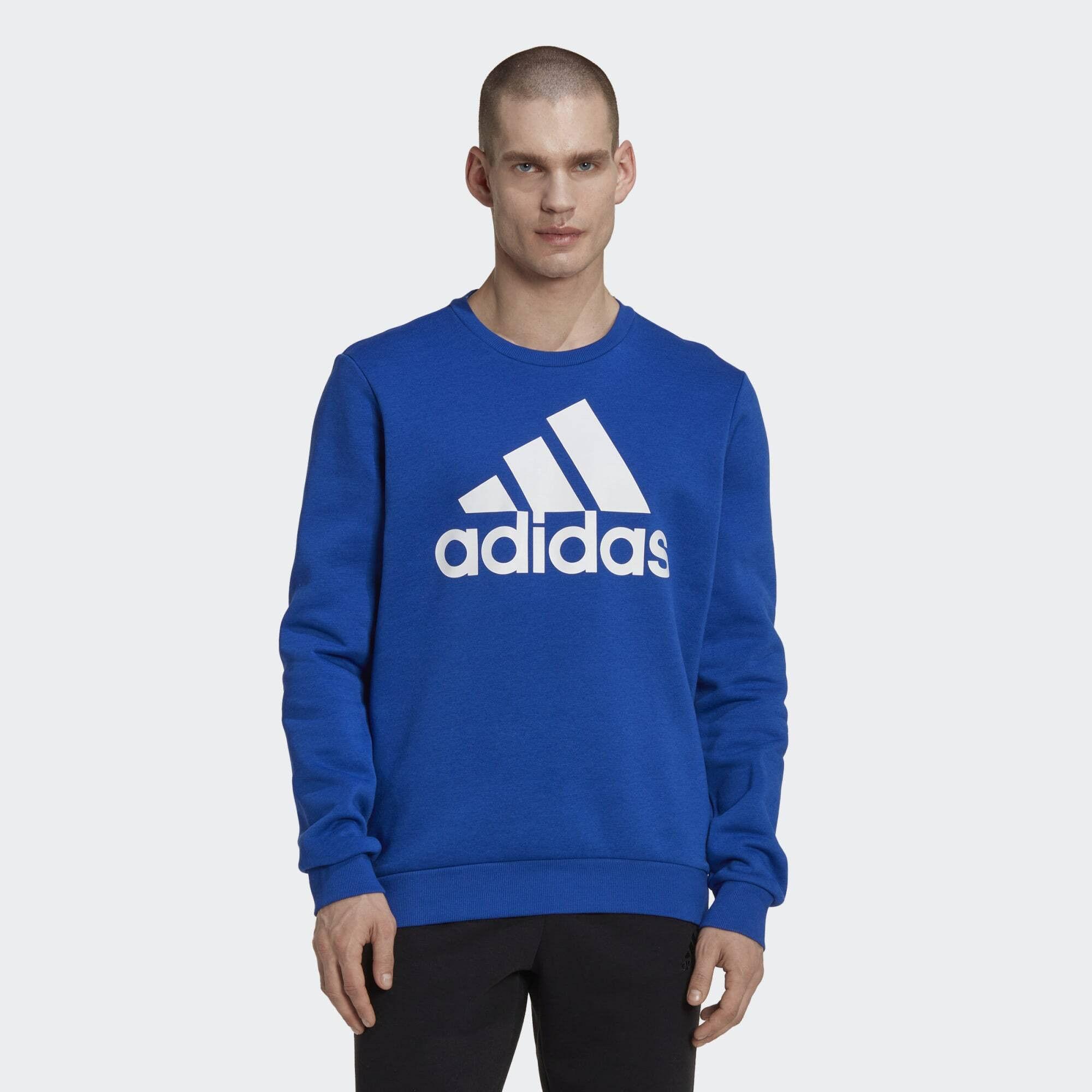 adidas Essentials Big Logo Sweatshirt (9000120771_62937)