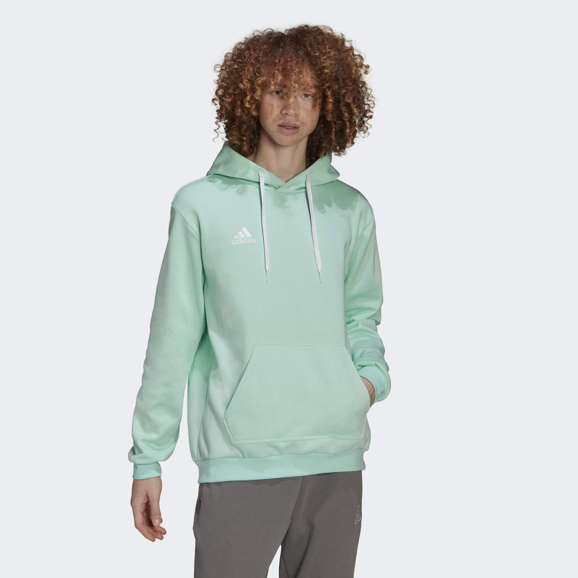 adidas Entrada 22 Sweat Hoodie (9000120864_2485)