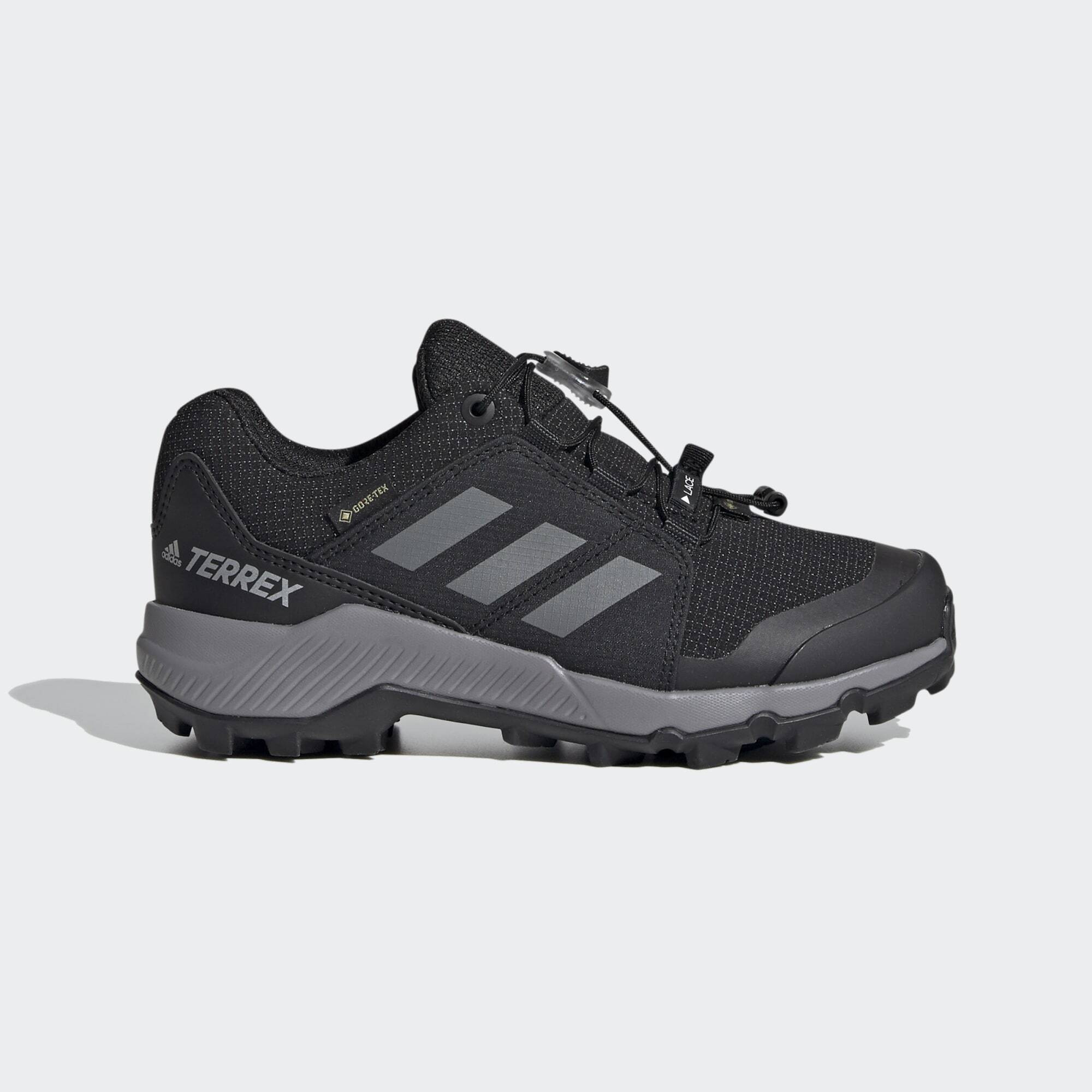 adidas Terrex Gore-Tex Hiking Shoes (9000120882_63370)