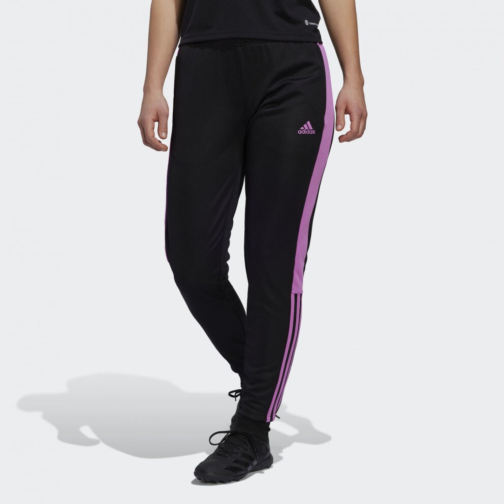 tiro essential pants