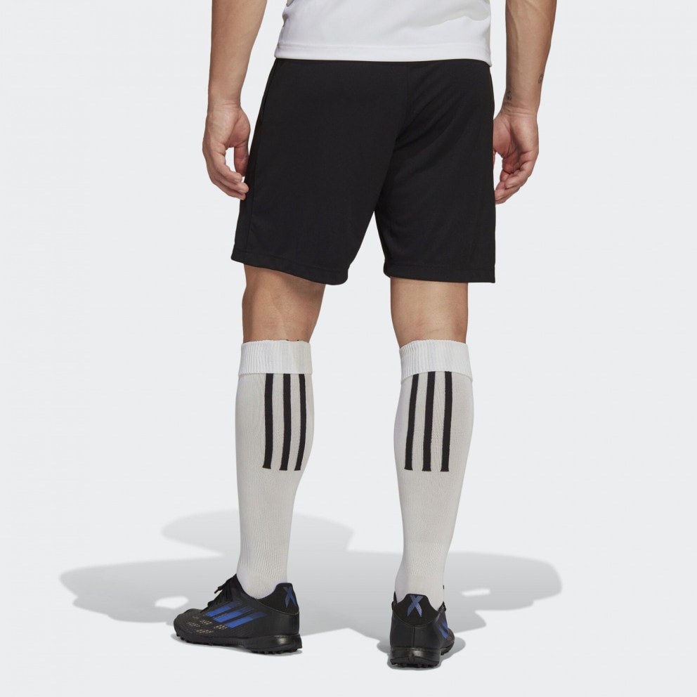 adidas Entrada 22 Training Shorts