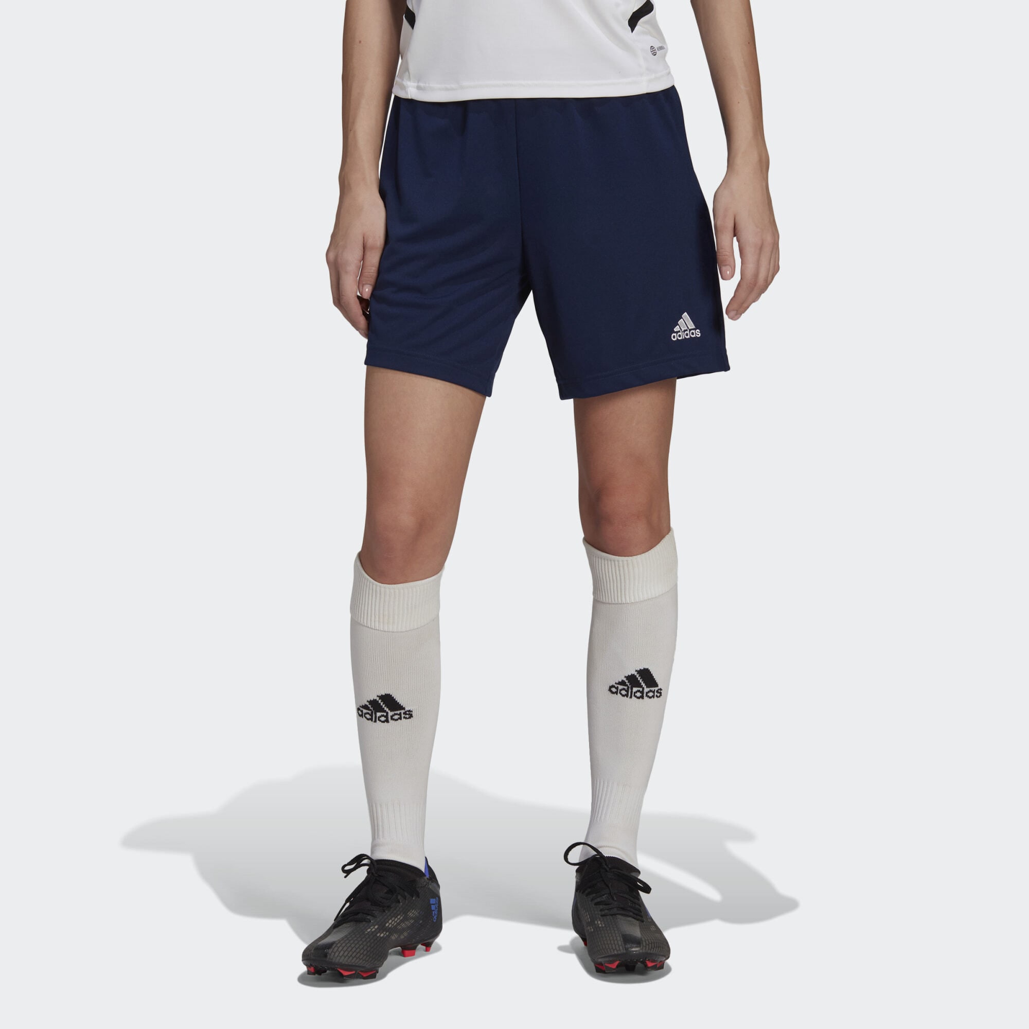 adidas Entrada 22 Training Shorts (9000127325_3024)