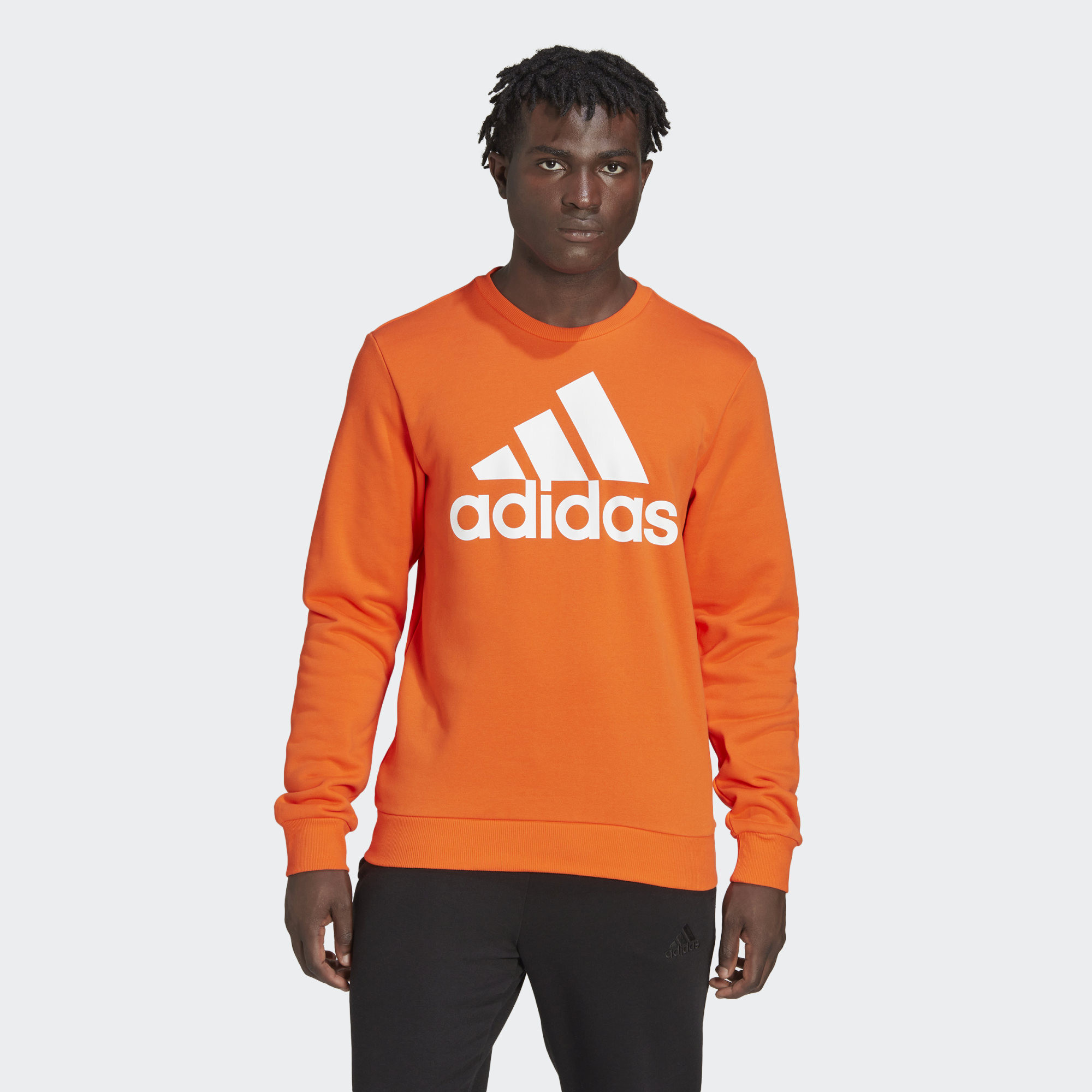 adidas Essentials Big Logo Sweatshirt (9000128336_63910)