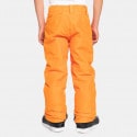 Quiksilver Snow Boundry Youth Kids' Ski Pants