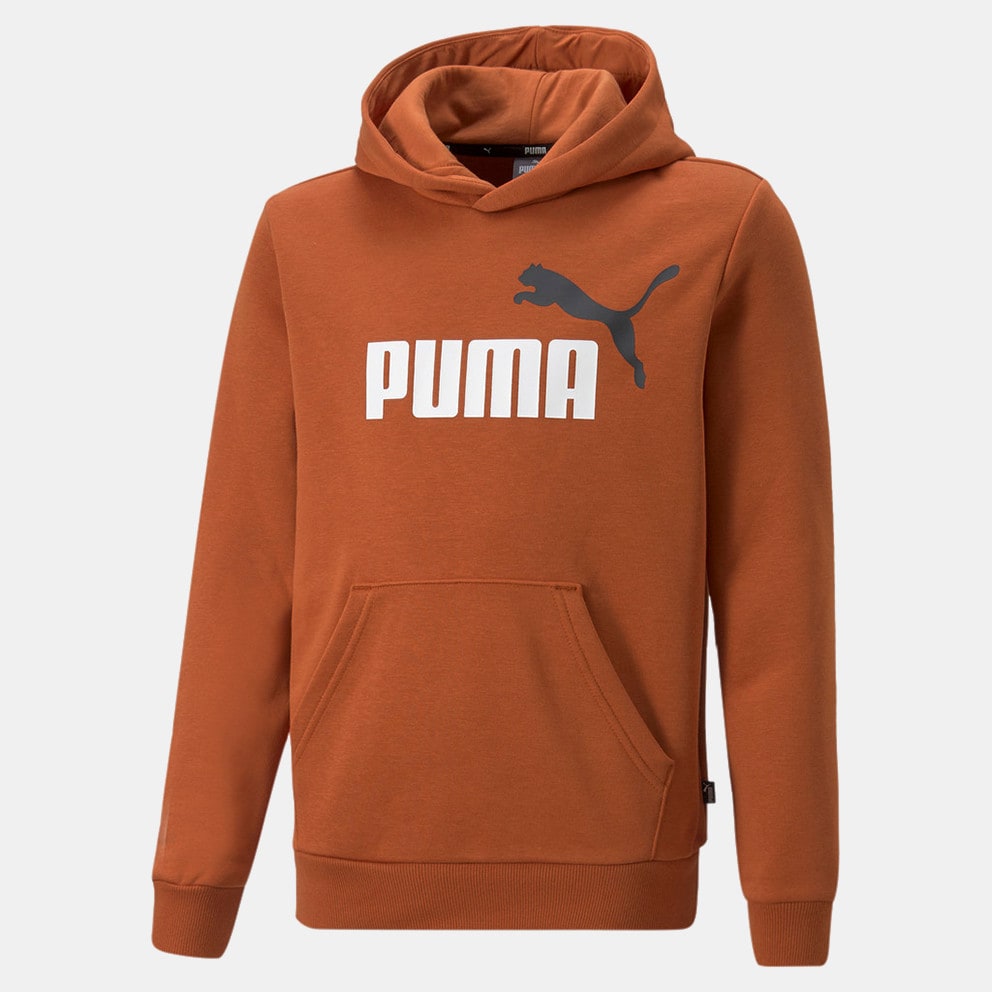 81 Puma Essentials Kid s Hoodie Orange Brown 586987