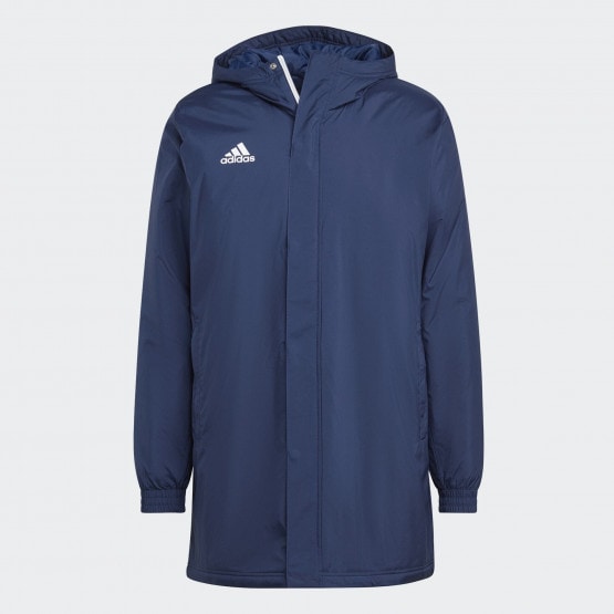Adidas superstar best sale stadion jacket