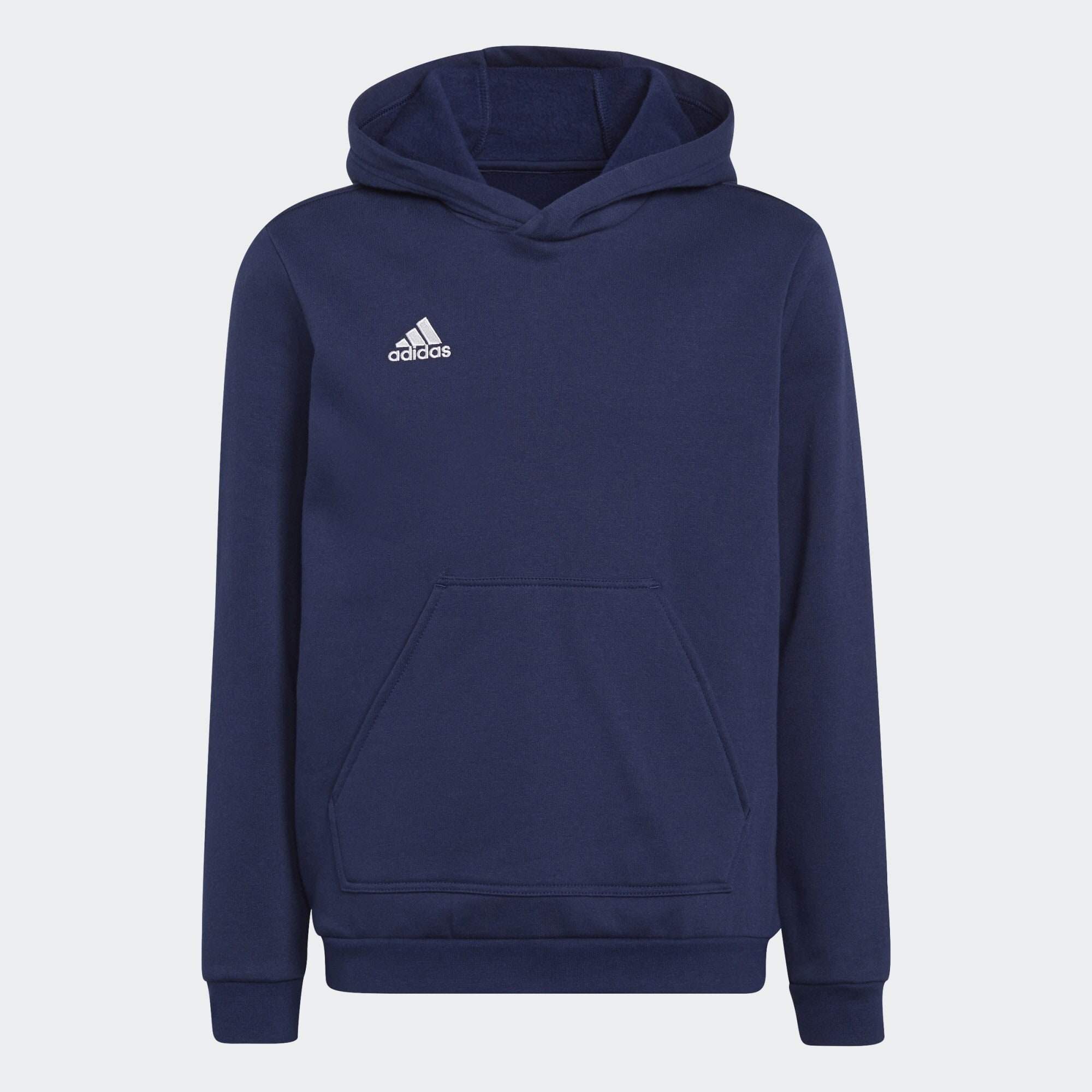 adidas Entrada 22 Sweat Hoodie (9000133895_65879)