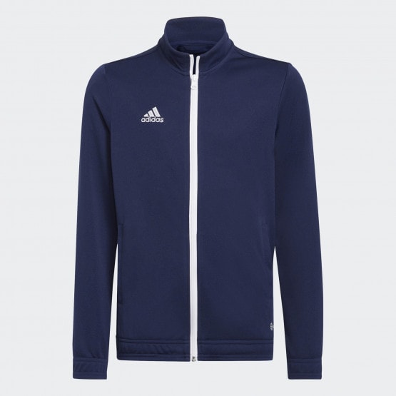 Hoodies ADIDAS Marbigen Offers, Kids & PERFORMANCE & (2) bianco sportivo adidas Sport, for giallo Stock da Zip mare cachi | Men, Jackets Women | Abbigliamento