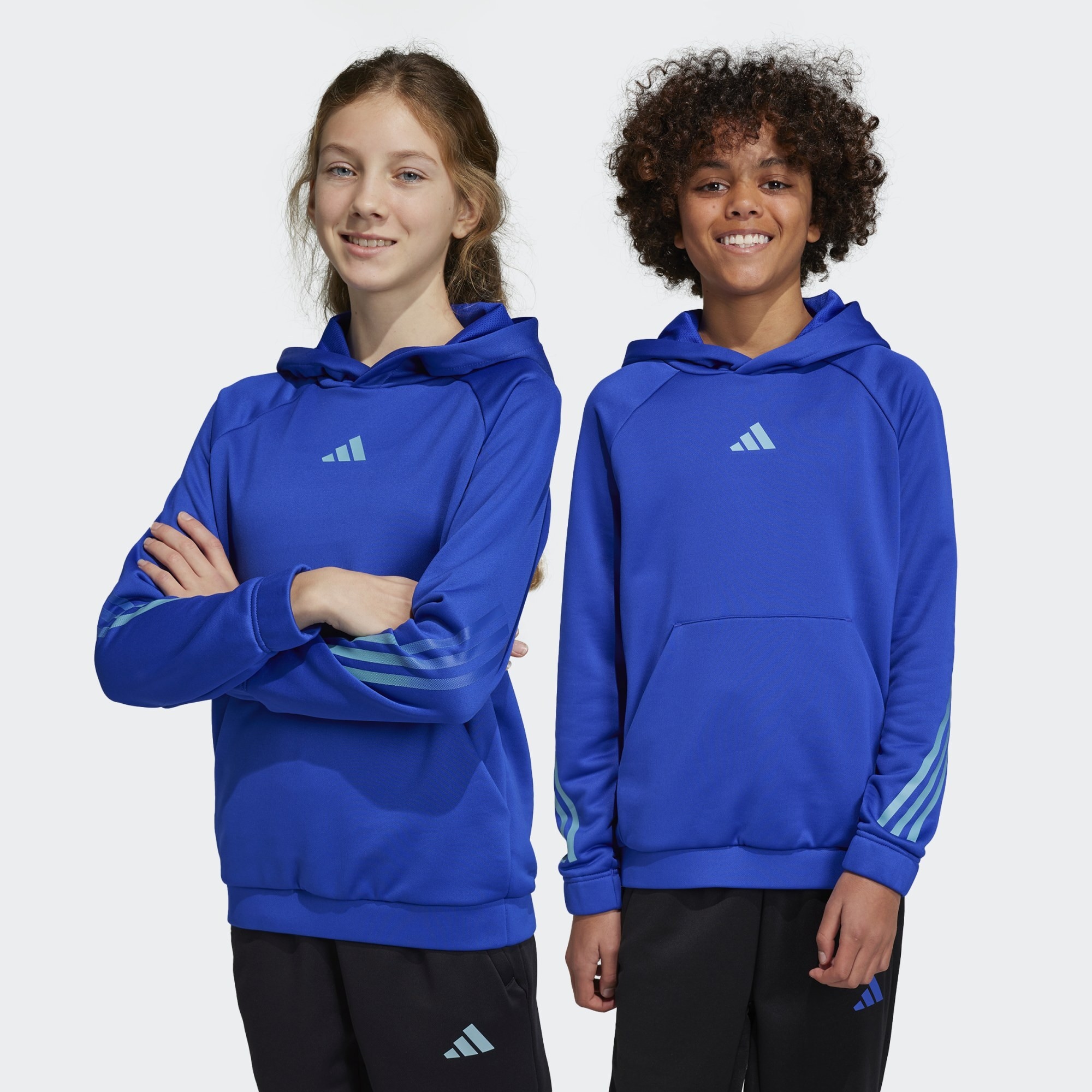 adidas Train Icons AEROREADY 3-Stripes Hoodie (9000134051_66267)