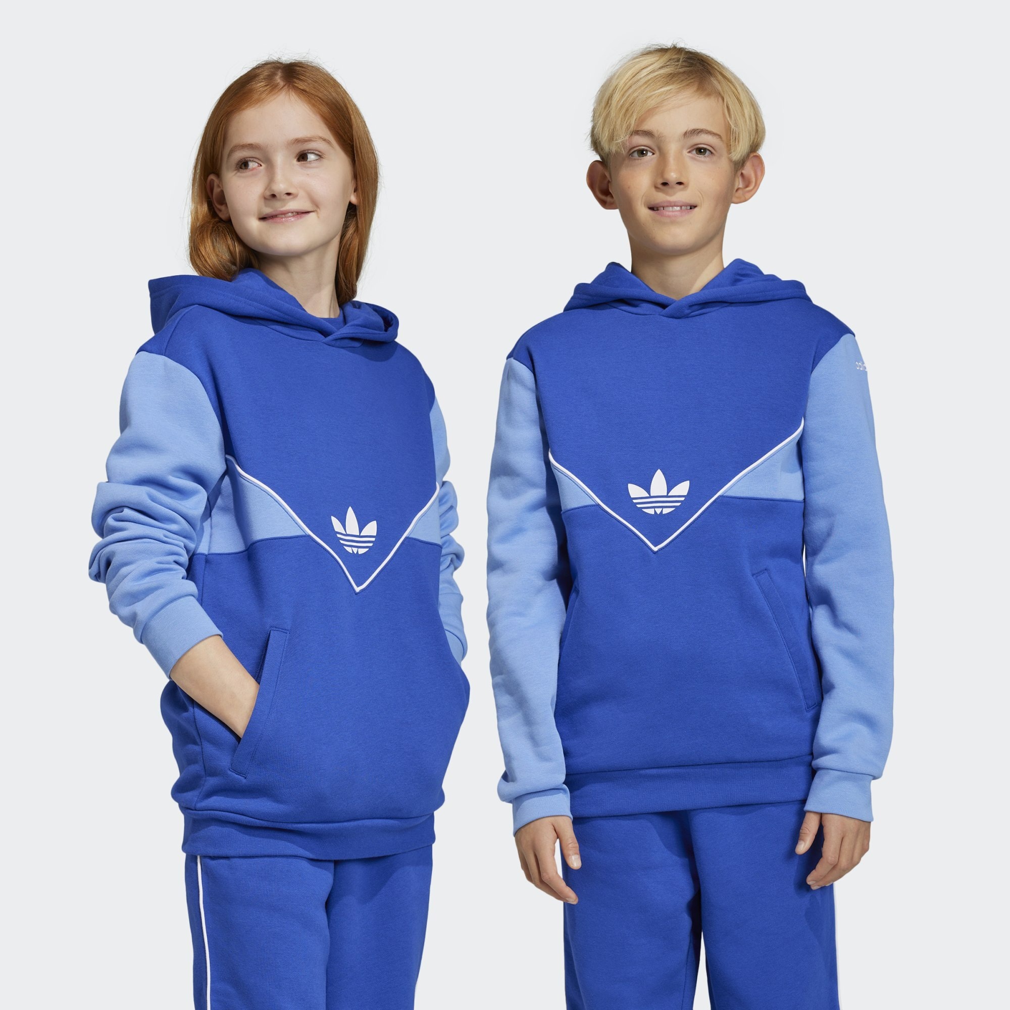 adidas Originals Adicolor Hoodie (9000134059_66265)