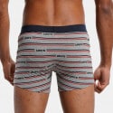 Levi's Organic Cotton Aop 2-Pack Men's Boxers