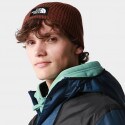 THE NORTH FACE Tnf Logo Box Cuf Beanie