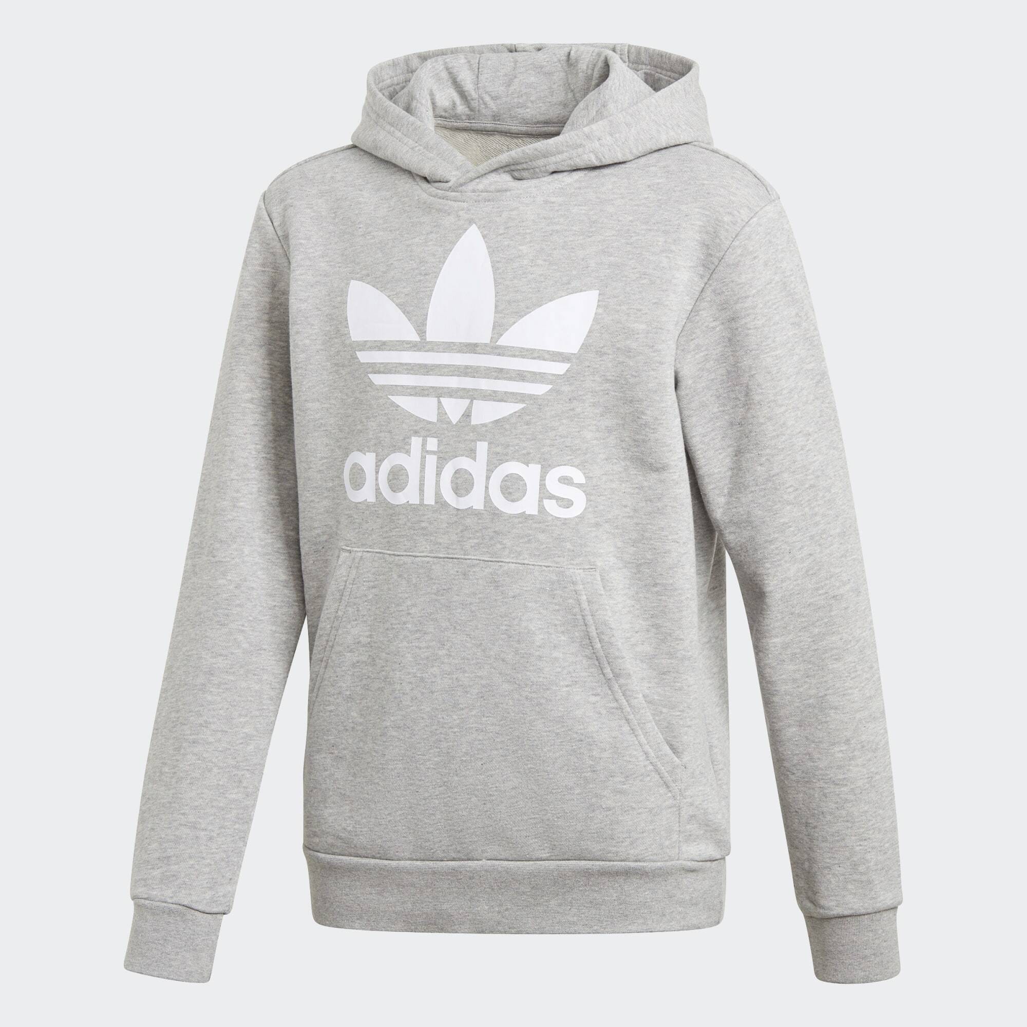 adidas Originals Trefoil Hoodie (9000133868_63041)
