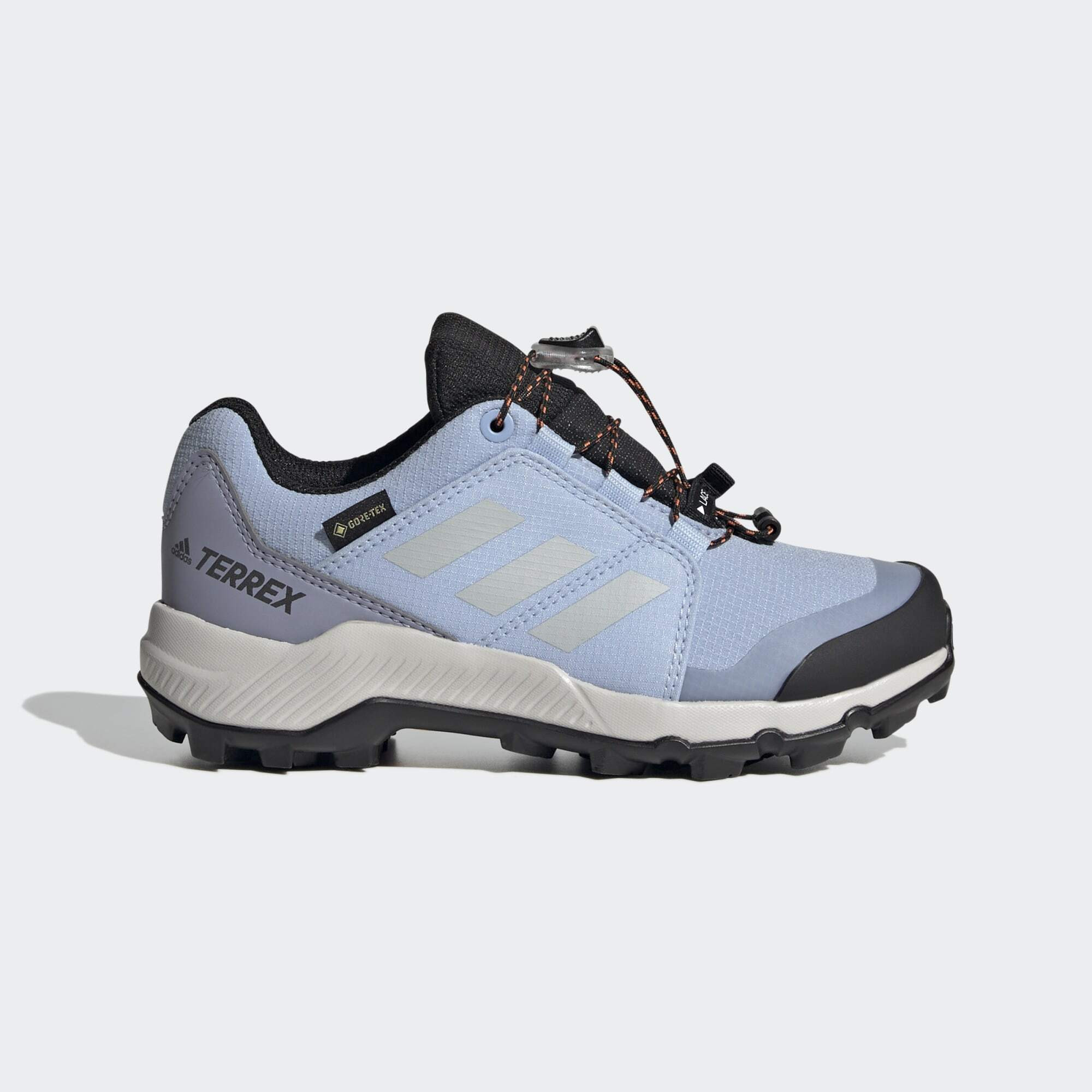 adidas Terrex Terrex GORE-TEX Hiking Shoes (9000141120_68143)