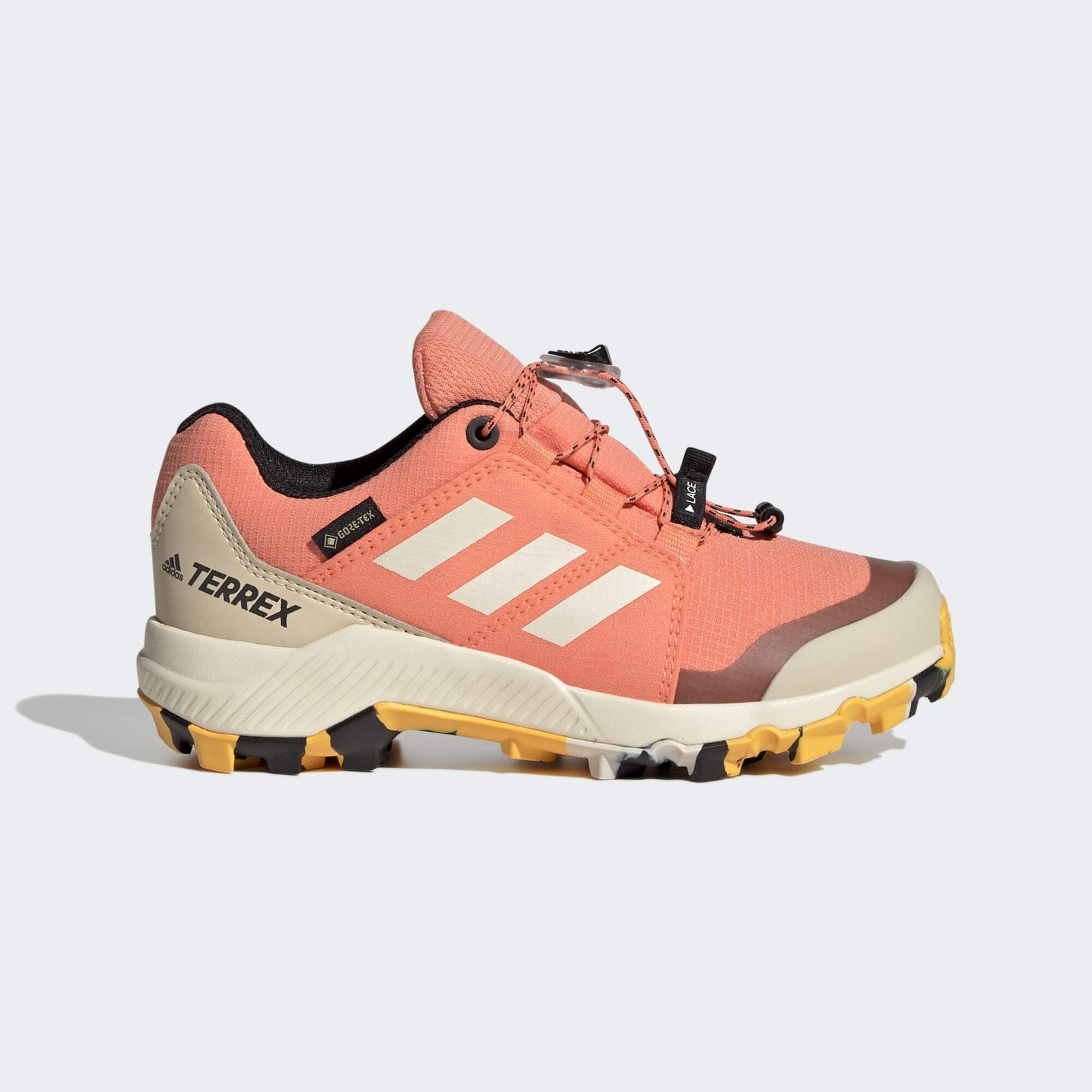 adidas Terrex Terrex GORE-TEX Hiking Shoes (9000141123_68144)