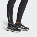 adidas Terrex Terrex Voyager 21 Travel Shoes