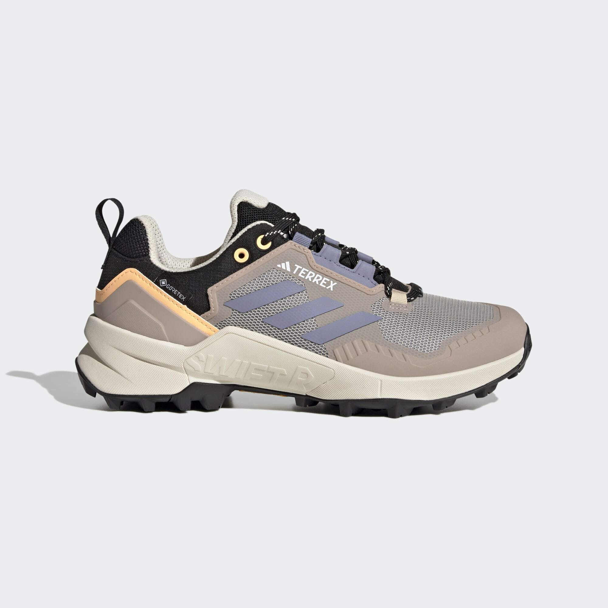 adidas Terrex Terrex Swift R3 GORE-TEX Hiking Shoes (9000143437_68145)