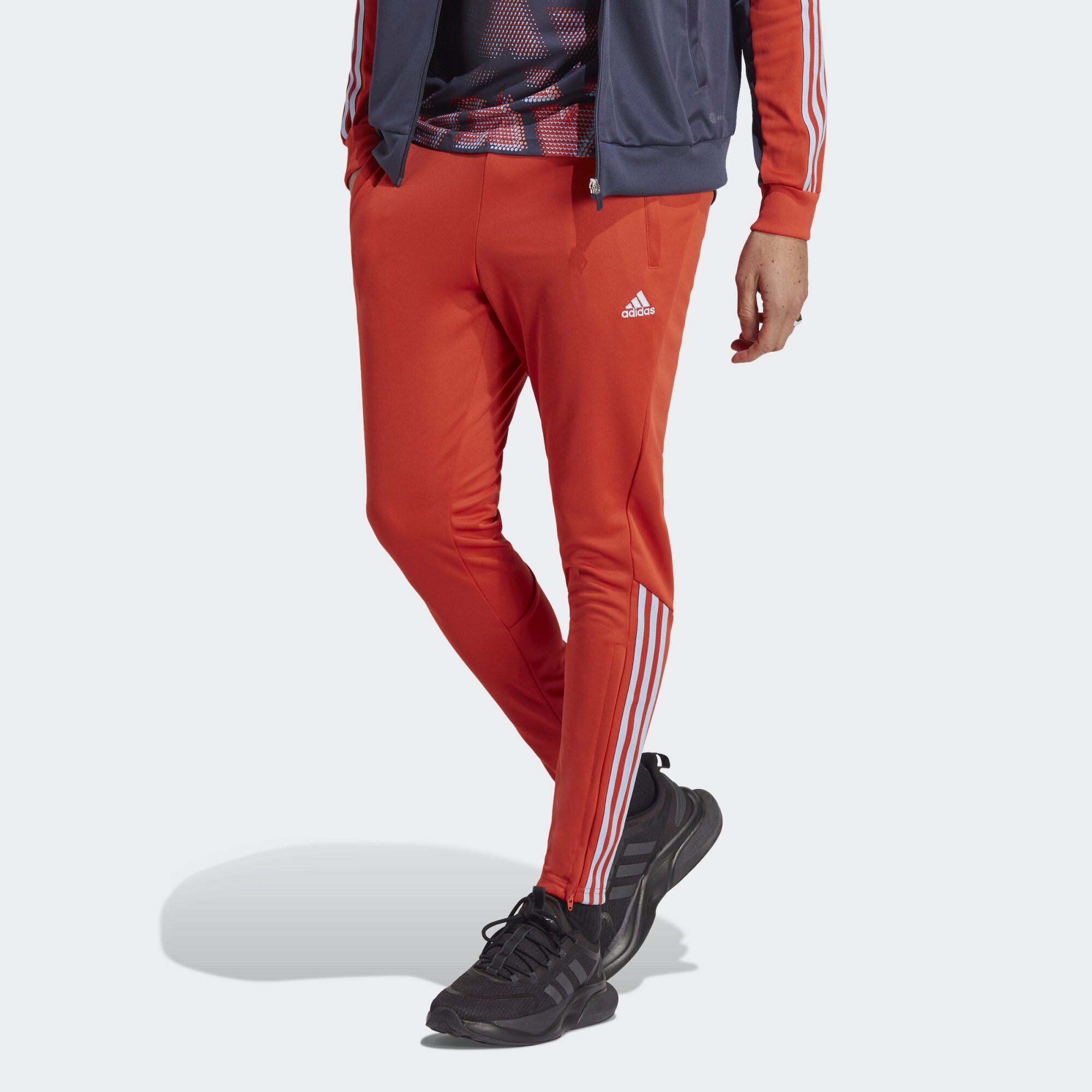 adidas Tiro Pants (9000145293_68730)